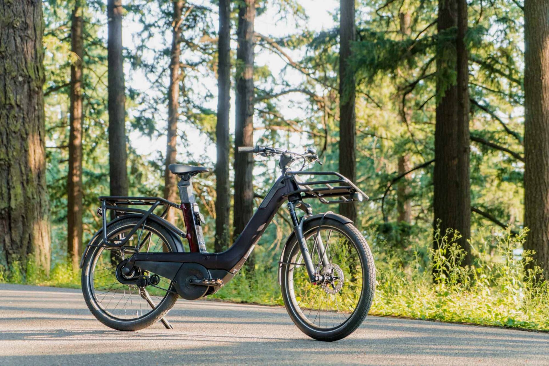 Vaast E1 Enviolo Electric Bike Review | Electric Bike Journal