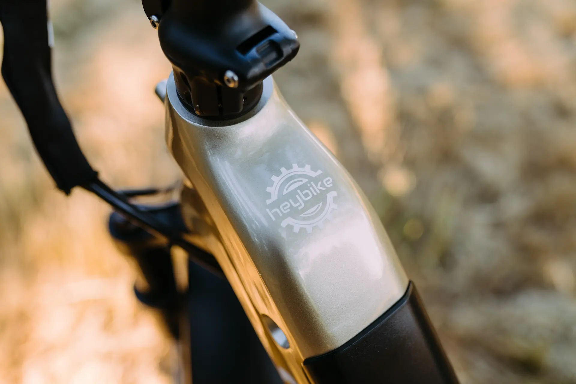 EBJ_HeyBike_RangerS-5003
