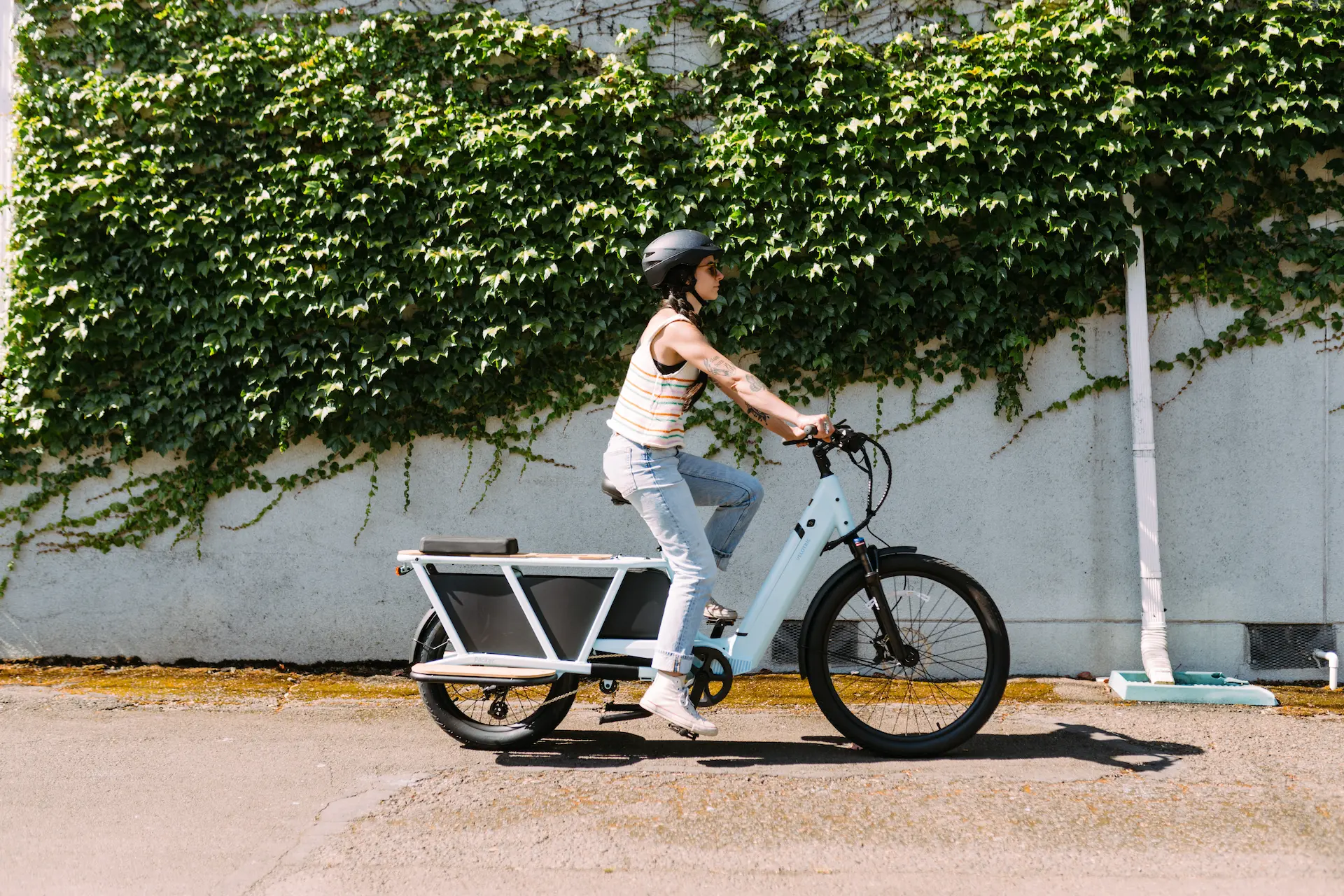 electric cargo bike