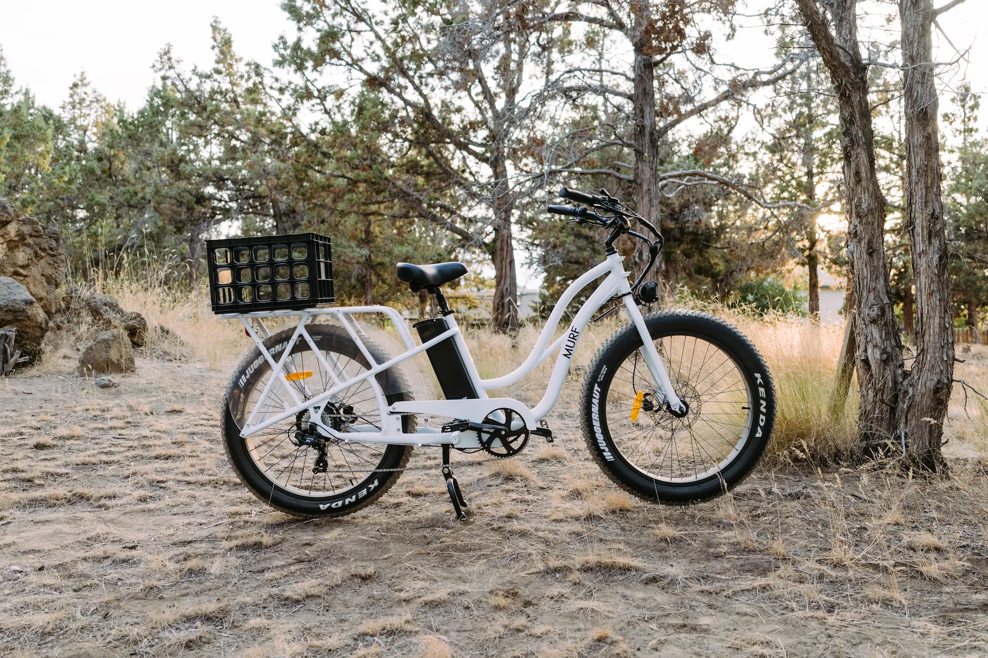 Pedal Packer Electric Cargo Bike Black