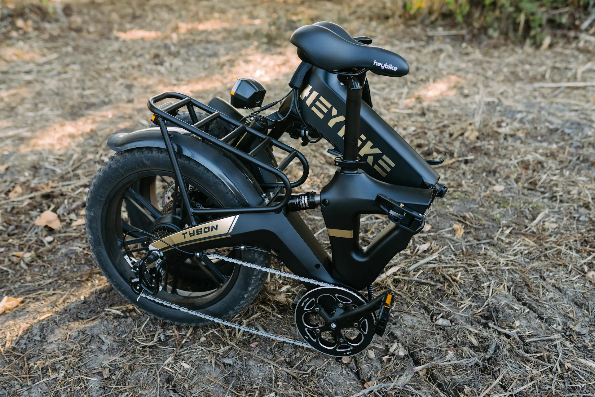 EBJ-HeyBike-Tyson-7580