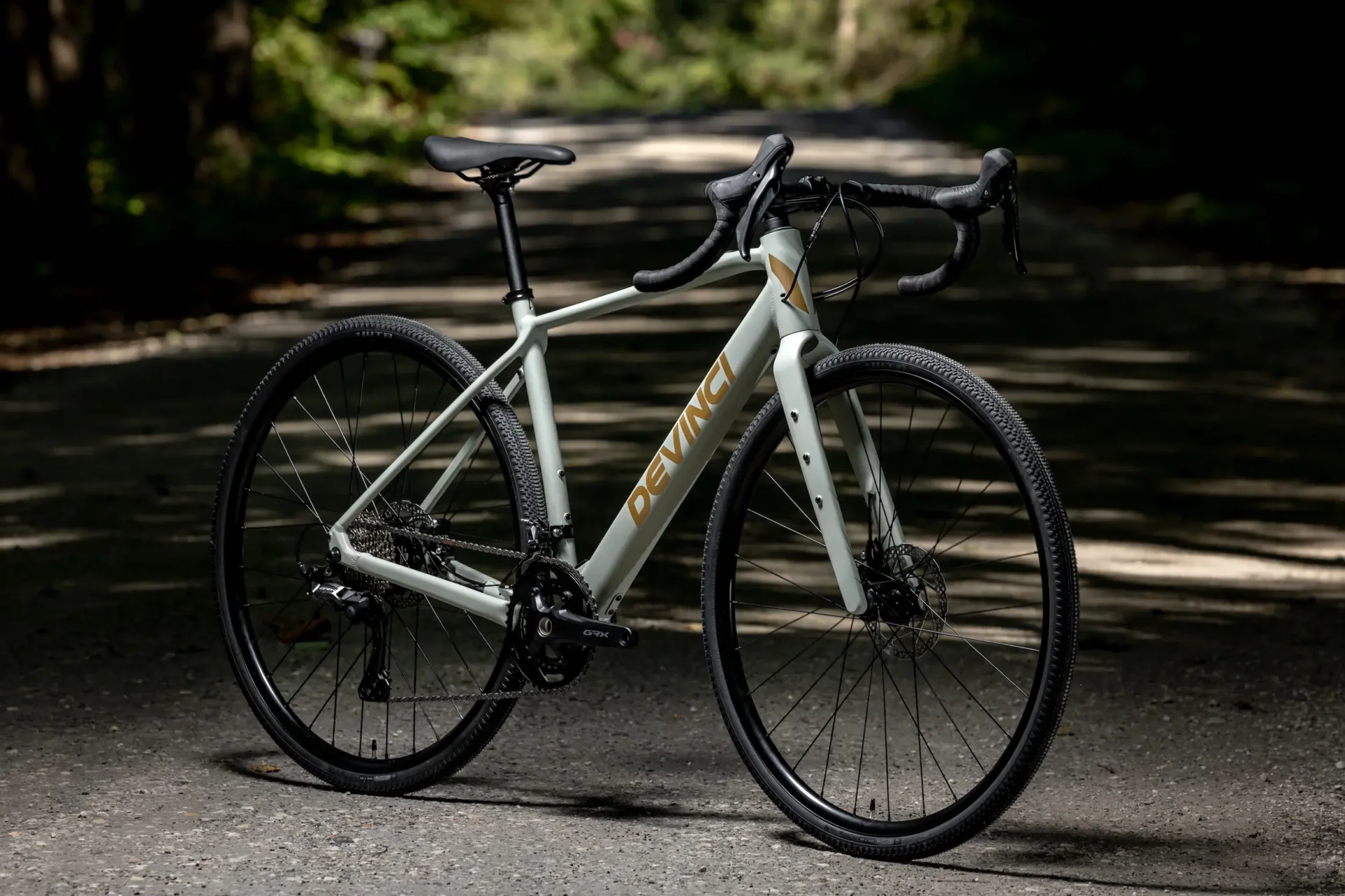 Devinci E-Hatchet is back and better than ever