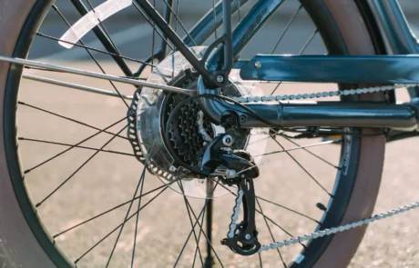 EBJ_Electra_Townie-6857