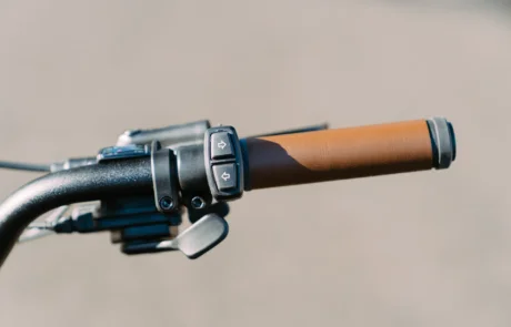 EBJ_Electra_Townie-6863