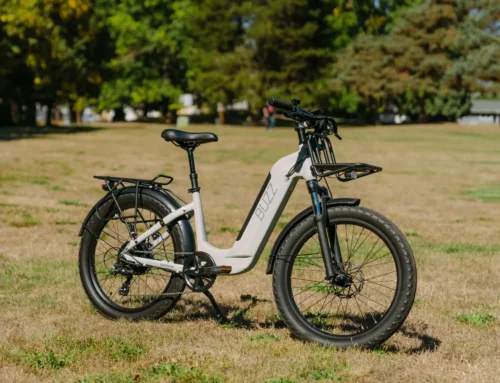 Buzz Cerana 2 Review