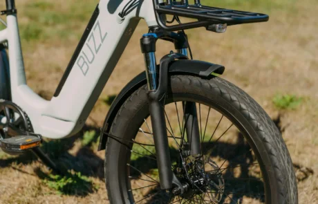 EBJ_Buzz_Cerana_2-8027