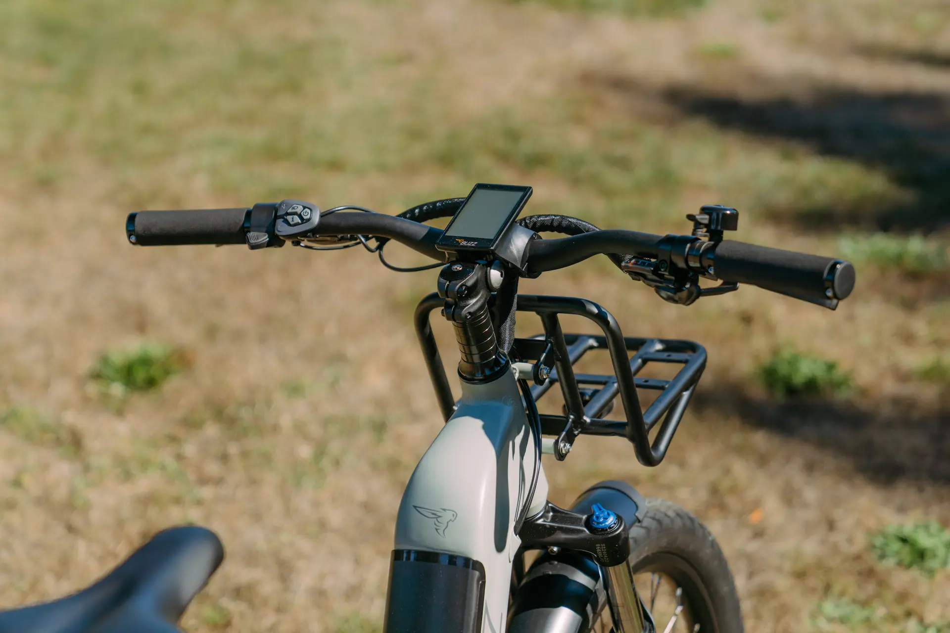 EBJ_Buzz_Cerana_2-8031