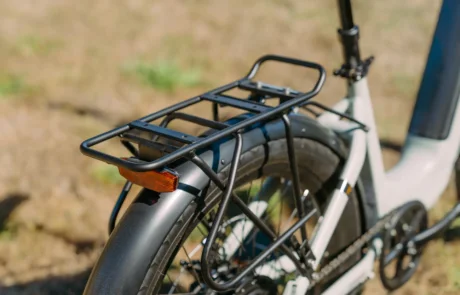 EBJ_Buzz_Cerana_2-8032