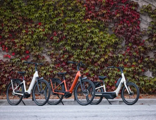 Gazelle launches their Fall 2025 Collection