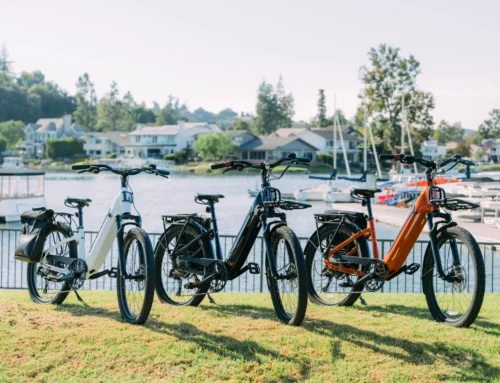 Momentum Vida E+ | Tech Check