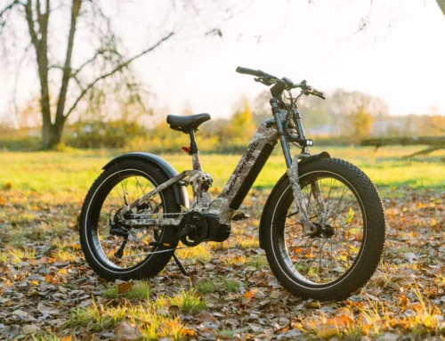 Mokwheel Onyx ST Review