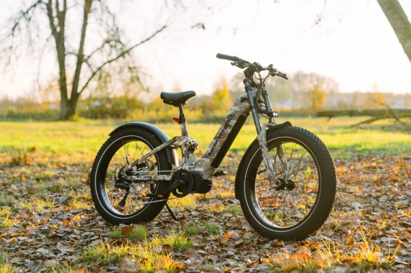 モモキングvs Mokwheel Onyx ST Review | Electric Bike Journal