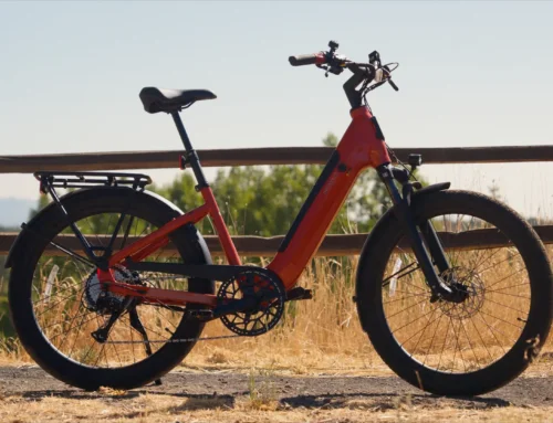 Momentum Vida E+ EX for the everyday rider